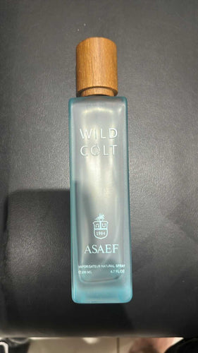 Wild Colt Asaef