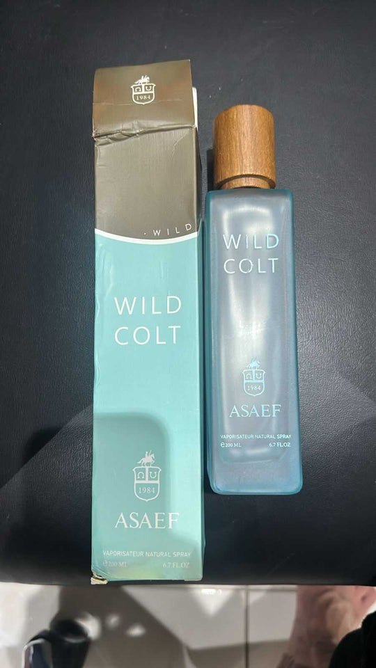 Wild Colt Asaef